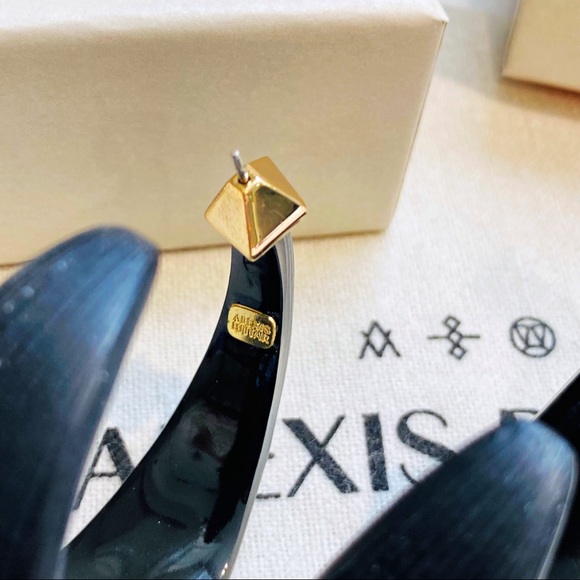 Alexis Bittar Wide Graduated Medium Hoop Earrings - Picture 15 of 16